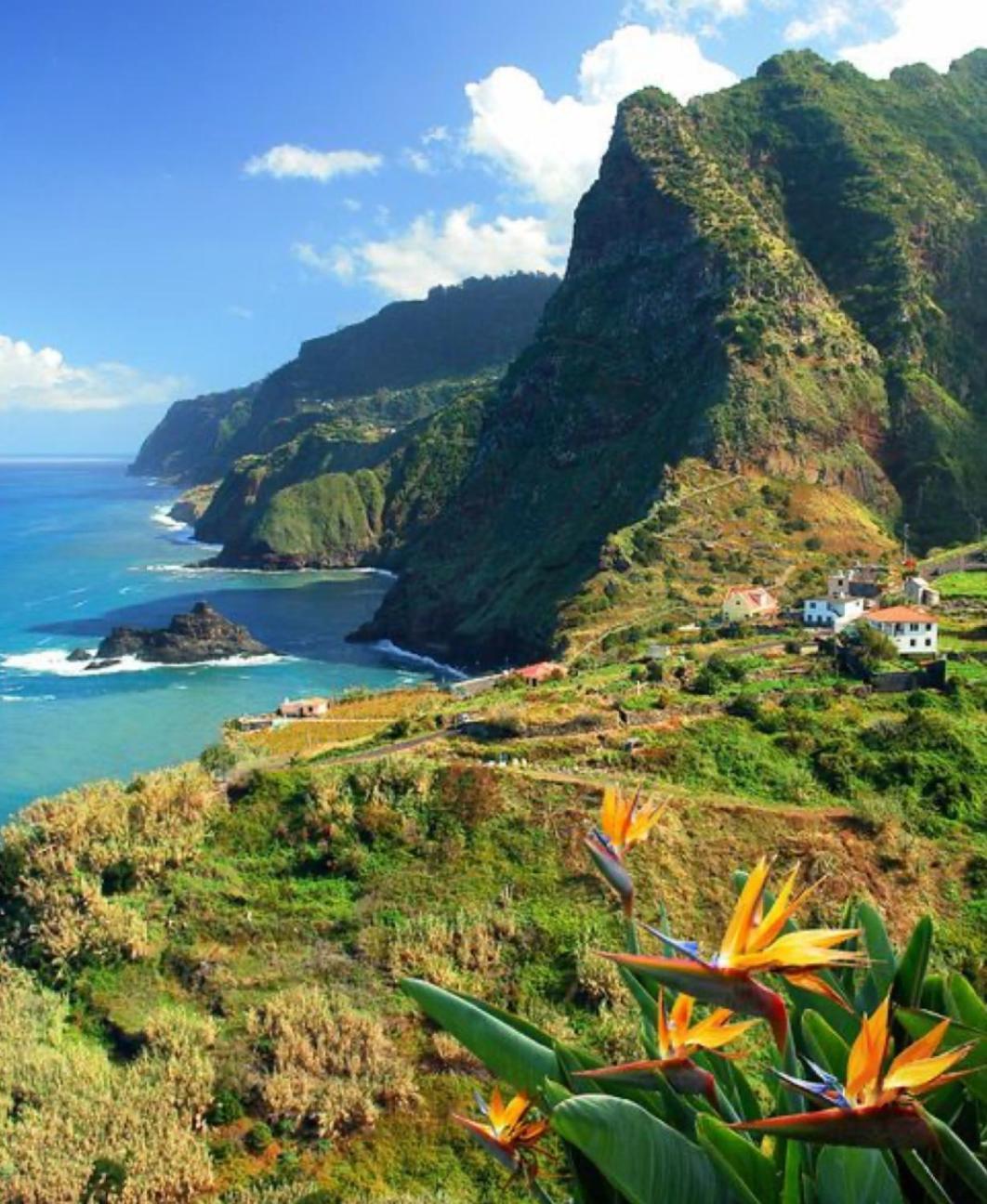 Appartement Pana House à Calheta  Extérieur photo